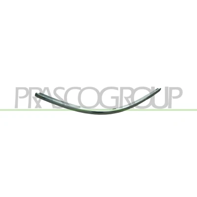Imagem de PRASCO VG0531248 Friso, pára choques à frente, lado esquerdo Premium VOLKSWAGEN: Passat B5 GP Variant, Sedan