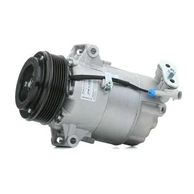 Imagem de DELPHI TSP0155802 compressor 6CVC13 PAG 46 com óleo de OPEL: Zafira B, Astra H Hatchback, Caravan, VAUXHALL: Mk5 Kombi