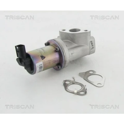 Imagem de TRISCAN 8813 43021 Válvula EGR elétrico com juntas HYUNDAI: i30 I Carrinha