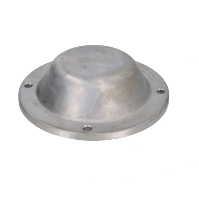 Imagem de Tampa, rolamento da roda AUGER 80248
