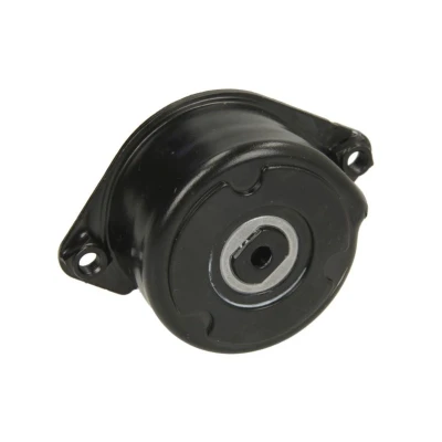 Imagem de INA 534 0171 10 Tensor, correia trapezoidal estriada BMW: 3 Sedan, Touring, 5 Sedan