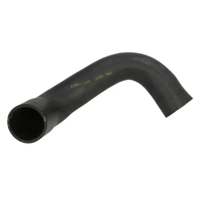 Imagem de THERMOTEC DCF138TT Mangueira Para o Turbocompressor FIAT: BRAVO 2