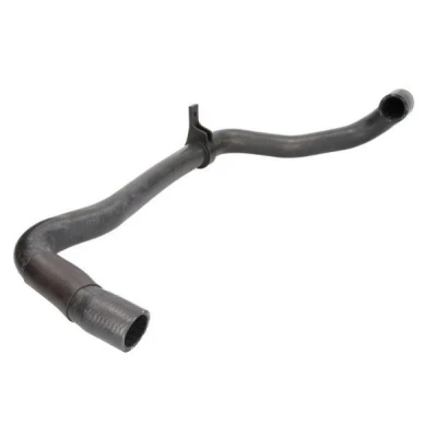 Imagem de THERMOTEC DWP065TT Mangueira de Radiador em baixo PEUGEOT: 106 II Hatchback