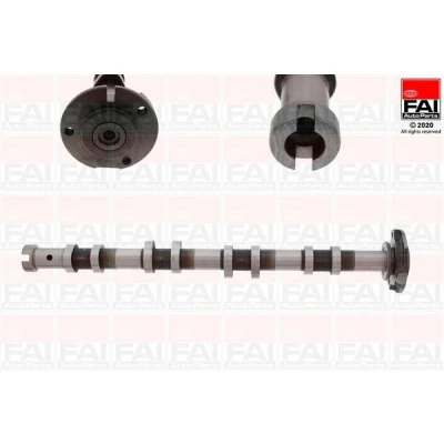 Imagem de FAI AutoParts C250 Árvore de Cames FORD: Transit Mk5 Van