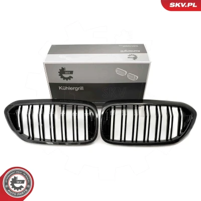 Imagem de ESEN SKV 66SKV197 Grelha de Radiador carbono BMW: 5 Touring