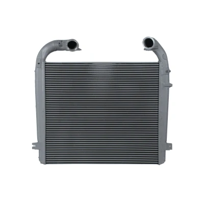 Imagem de Intercooler NISSENS 961439