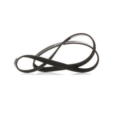 Imagem de Correia em V Poly DAYCO 4PK954