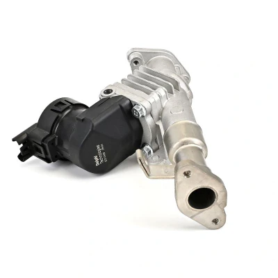 Imagem de Válvula EGR DELPHI EG10488 12B1