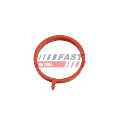Imagem de FAST FT49465 Junta de Escape RENAULT: MASTER 3 Kasten