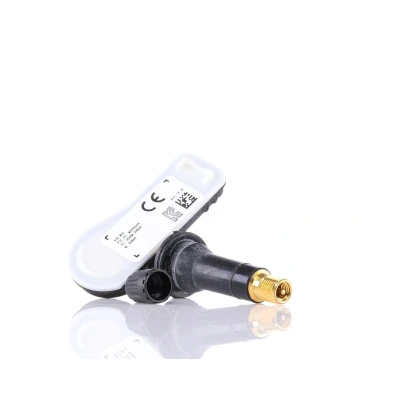 Imagem de SCHRADER 3041 Sensor da roda com parafuso RENAULT: Clio 4, DACIA: Lodgy