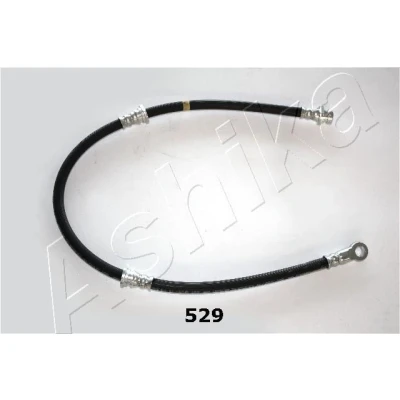 Imagem de ASHIKA 69 05 529 Suporte, tubo flexível do travão Eixo dianteiro