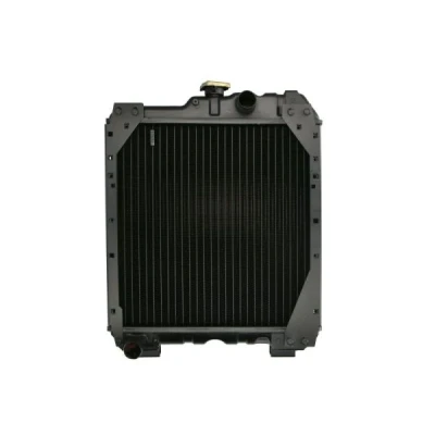 Imagem de THERMOTEC D7AG061TT Radiador, arrefecimento do motor 445 450 59