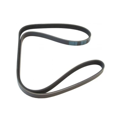 Imagem de MAPCO 251465 Correia trapezoidal estriada 1465 5 RENAULT: 19 II Hatchback