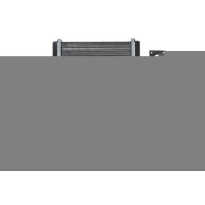Imagem de THERMOTEC D61003TT Radiador Quente