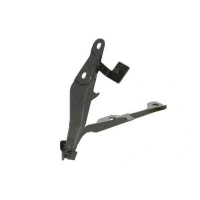 Imagem de Dobradiça, capota do motor BLIC 6802 00 2589451P
