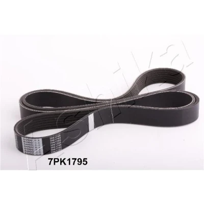 Imagem de ASHIKA 112 7PK1795 Correia trapezoidal estriada 1795mm 7