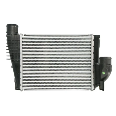 Imagem de THERMOTEC DAX042TT Intercooler OPEL: Vivaro C Van