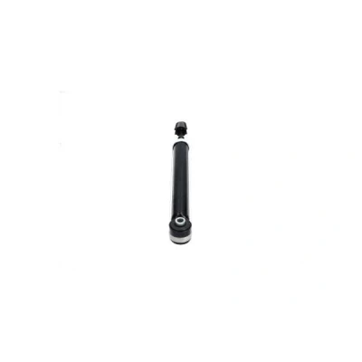 Imagem de KAVO PARTS SSA 4006 Amortecedor Eixo traseiro Pressão do gás Tubo duplo telescópico olhal em baixo, cavilha cima KIA: Picanto II