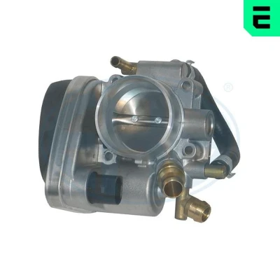 Imagem de Corpo de borboleta ERA 556194