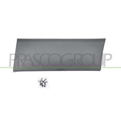 Imagem de PRASCO FT9001456 Friso, guarda lamas traseira esquerda
