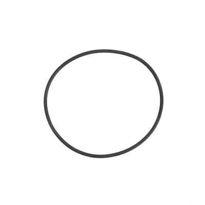 Imagem de Junta, limpeza da flange centrífuga DT Spare Parts 1.10170