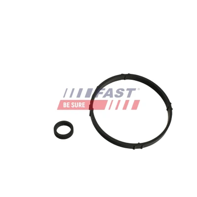 Imagem de FAST FT48810 Juntas