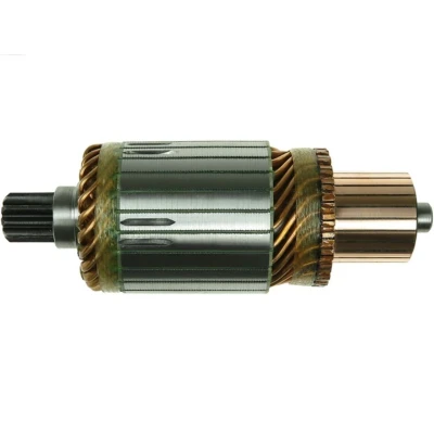 Imagem de AS PL SA2005 Induzido, motor de arranque