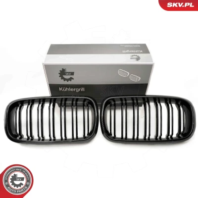 Imagem de ESEN SKV 66SKV299 Grelha de Radiador carbono BMW: X5