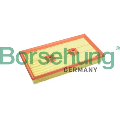 Imagem de Borsehung B10542 Filtro de ar Cartucho filtrante VOLKSWAGEN: Golf 5, Passat B6 Sedan, Variant, AUDI: A3 Sportback, Hatchback