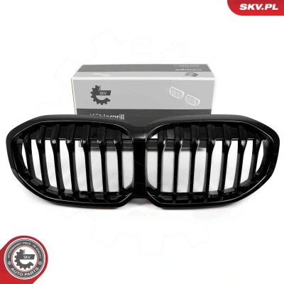 Imagem de ESEN SKV 66SKV024 Grelha de Radiador preto, brilhante centro Versão simples BMW: 1 Hatchback (F40) 118 i, M 135 i xDrive, 116 d, 120 d xDrive