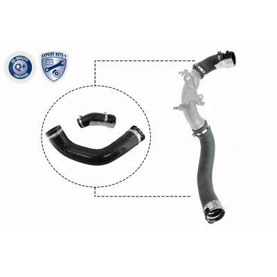Imagem de VAICO V46 1025 Mangueira Para o Turbocompressor EXPERT KITS + RENAULT: Clio 4, Captur, DACIA: Lodgy