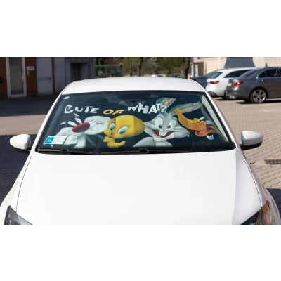 Imagem de 1 pala de sol looney tunes 130x70cm
