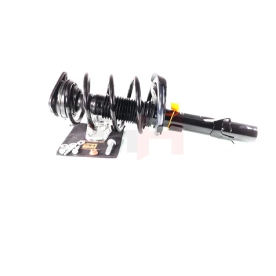 Imagem de GH 352549C01 Conjunto mola/amortecedor