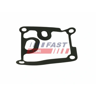 Imagem de FAST FT39313 Filtro de Combustível Cartucho filtrante com junta RENAULT: Kangoo II Express, Clio 4, Captur, DACIA: Lodgy, LOGAN MCV 2, Duster SUV