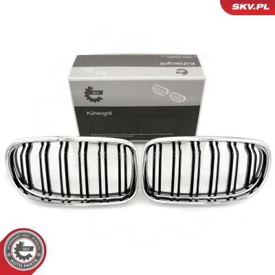 Imagem de ESEN SKV 66SKV102 Grelha de Radiador crómio BMW: 3 Coupe