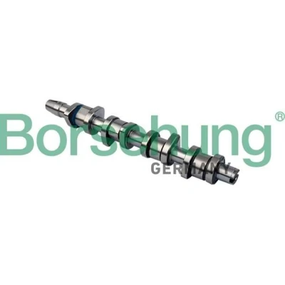 Imagem de Borsehung B11323 Árvore de Cames AUDI: A4 B6 Avant, B7 Sedan