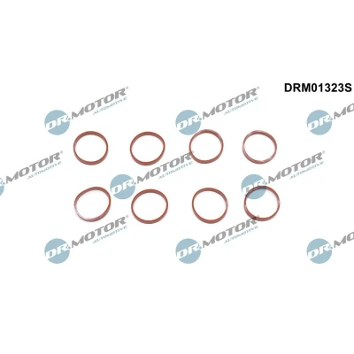 Imagem de DR.MOTOR AUTOMOTIVE DRM01323S Jogo de juntas, colector admissão LAND ROVER: Discovery Sport