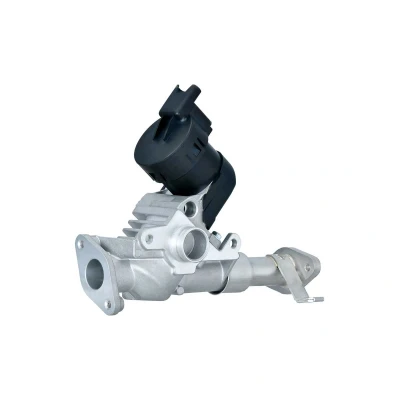 Imagem de HELLA 6NU 014 864 981 Válvula EGR elétrico com juntas BMW: 3 Touring, 1 Hatchback, 5 Touring