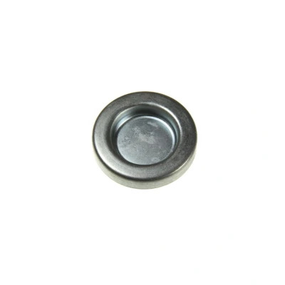 Imagem de DT Spare Parts 2.10193 Parafuso de fecho, cárter