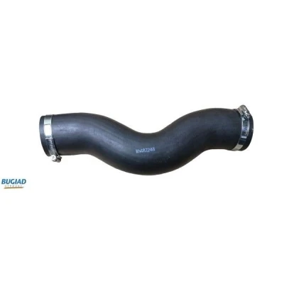 Imagem de BUGIAD 82248 Mangueira Para o Turbocompressor com braçadeiras KIA: SORENTO 1