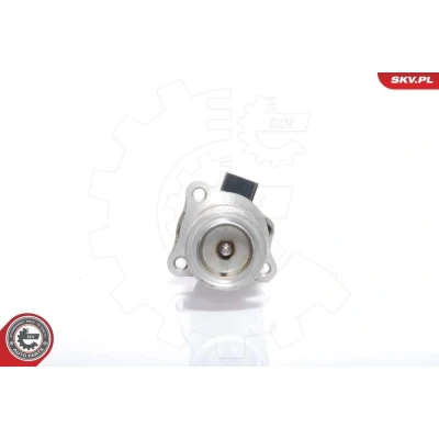 Imagem de ESEN SKV 14SKV009 Válvula EGR elétrico RENAULT: TRAFIC 2 Kasten, ESPACE 4, LAGUNA 2, OPEL: Vivaro A Van, Combi