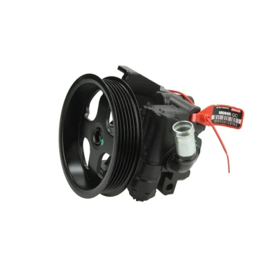 Imagem de LAUBER 55.1162 Bomba de Direção hidráulico 100 6 119 FORD: Transit Connect Mk1 Van