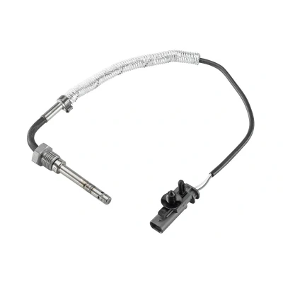 Imagem de VDO 2910000977800 Sensor com filtro de partículas VOLVO: C30