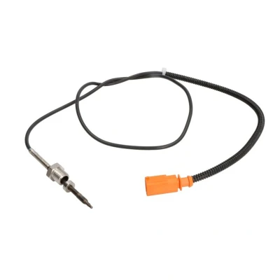 Imagem de DELPHI TS30166 Sensor