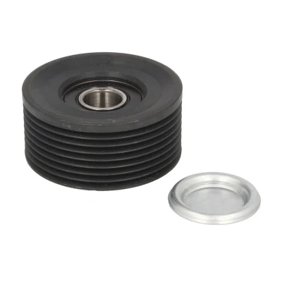 Imagem de DAYCO APV2703 Polia de Desvio