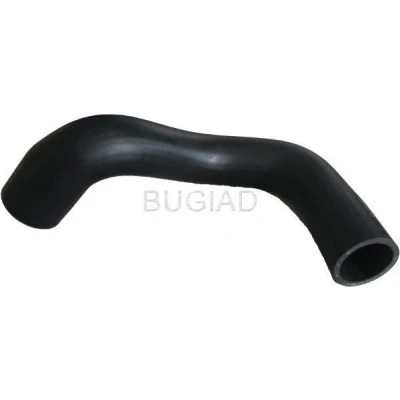 Imagem de BUGIAD 88631 Mangueira Para o Turbocompressor CITROËN: Nemo Van