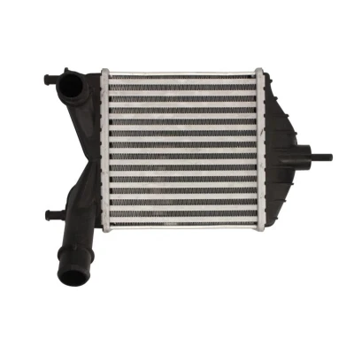 Imagem de Arrefecedor de ar admissão THERMOTEC DAF014TT