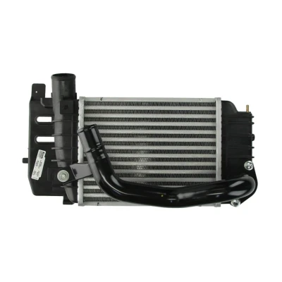 Imagem de NISSENS 96565 Intercooler
