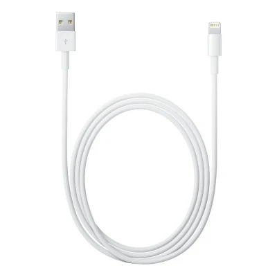 Imagem de Cabo Apple Lightning para USB 2 metros