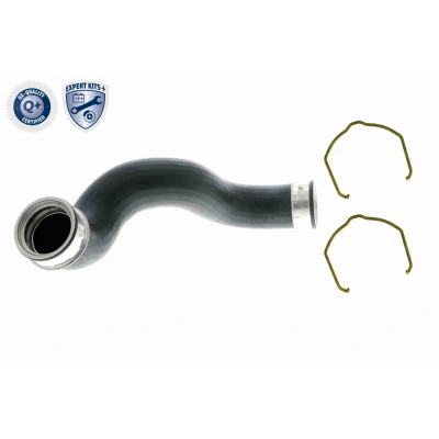 Imagem de VAICO V10 5301 Mangueira Para o Turbocompressor Borracha com entretela grampo VOLKSWAGEN: Passat B5 GP Variant, Sedan